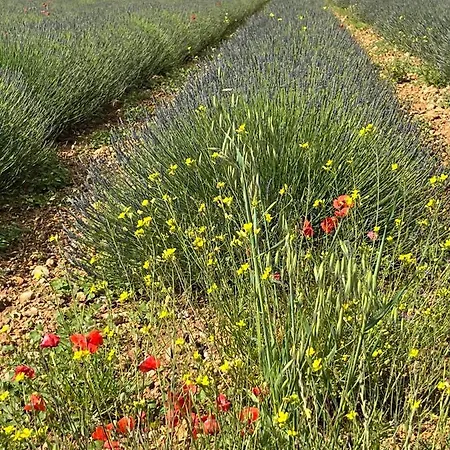 Harmonie Apartmán Gréoux-les-Bains