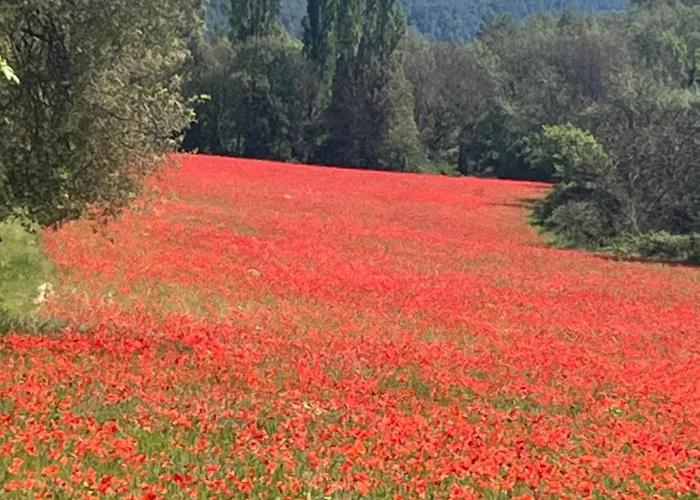 Harmonie Gréoux-les-Bains
